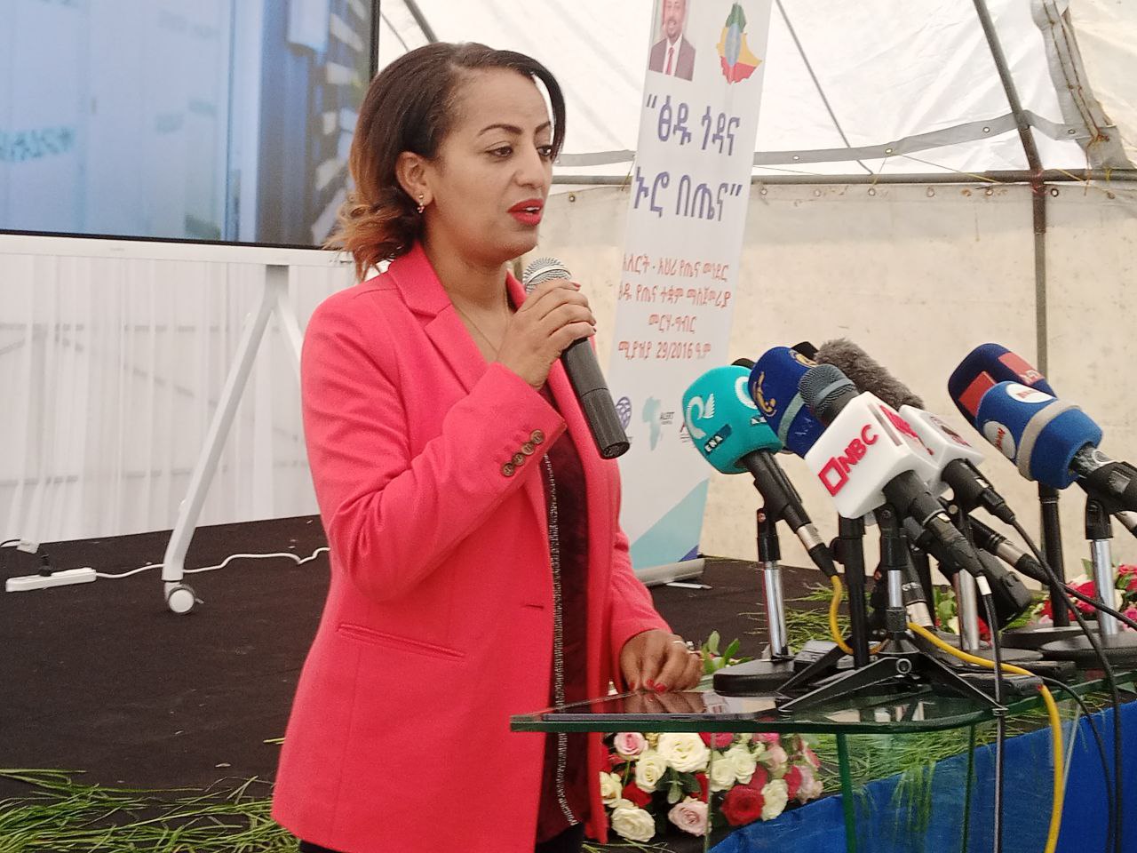 Ethiopia Launches National Clean Health Facility Program