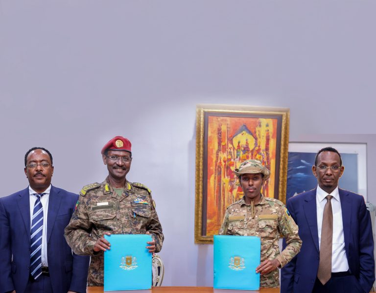 Ethiopia, Somalia to Formalize Military Cooperation in Fight Against Terrorism