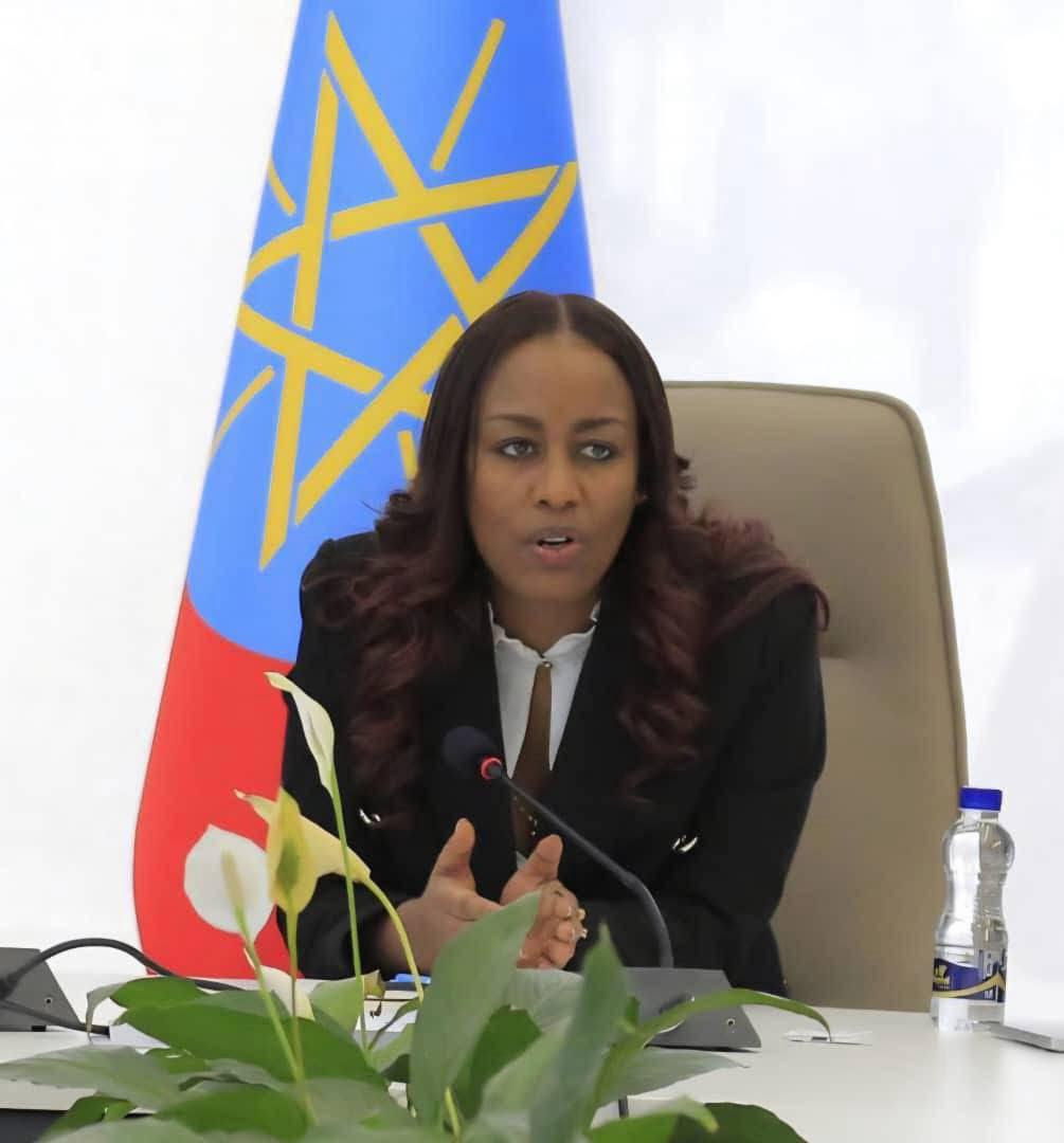 US Backs Ethiopia’s Enhanced Air, Land Border Control