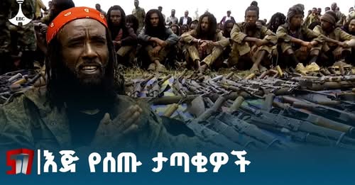 Joint Security Operation in Oromia's  West Shewa Zone  Forces 61 Shene Members to Surrender
