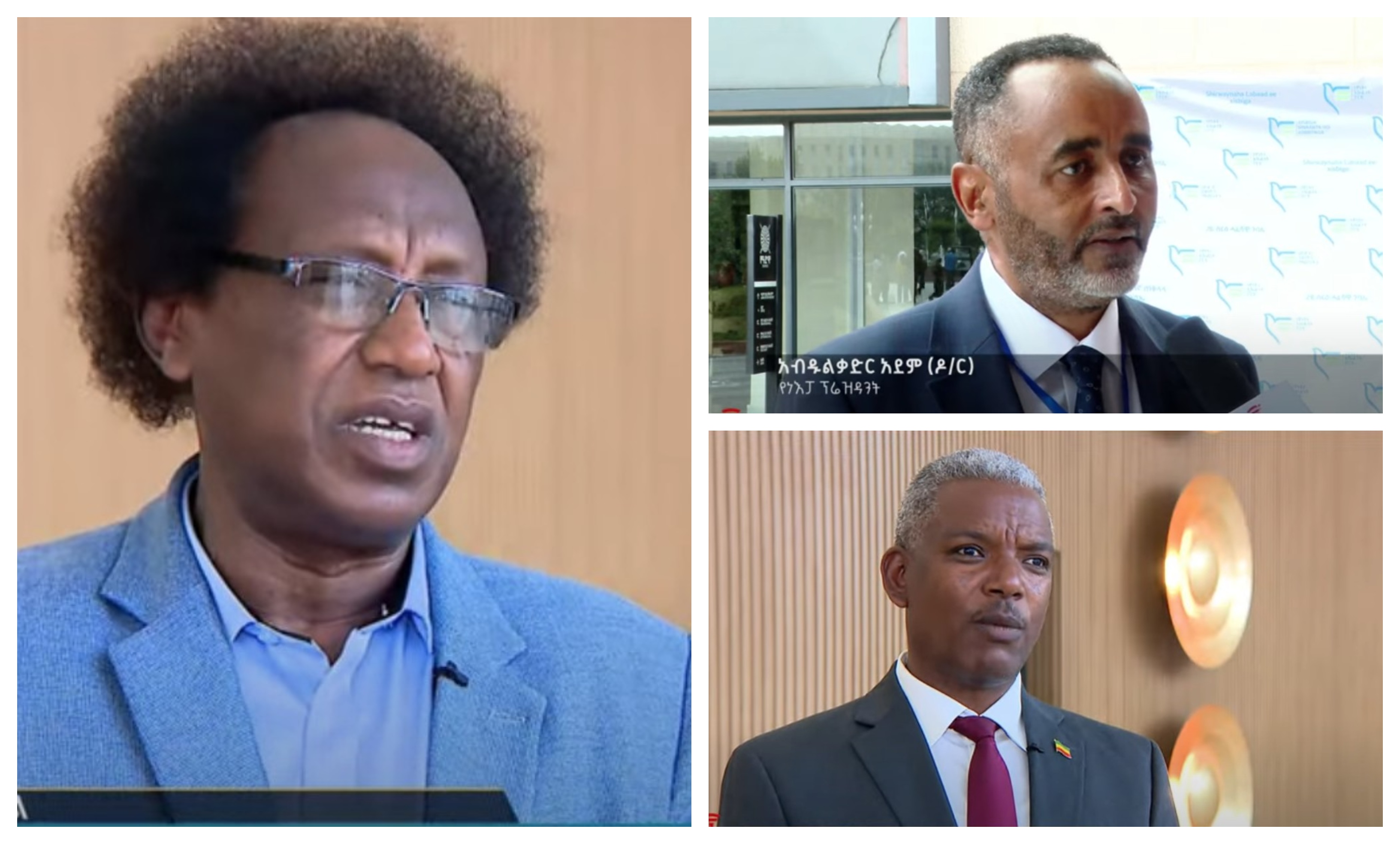 Political Parties Unite for Peaceful Resolution in Ethiopia’s Crisis