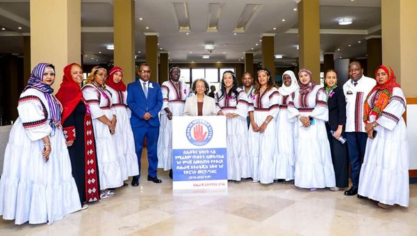 በሴቶች እና ህጻናት ላይ የሚፈጸሙ ጥቃቶችን ለመከላከልና ምላሽ ለመስጠት የተቀረጸ ብሔራዊ ስትራቴጂ ዕቅድ እና የድርጊት መርሀ ግብር ይፋ ሆነ
