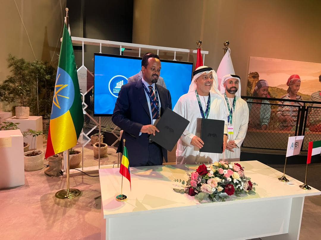በምስራቅ አፍሪካ ግዙፉ የንፋስ ሀይል ማመንጫ በሶማሌ ክልል ሊገነባ ነው