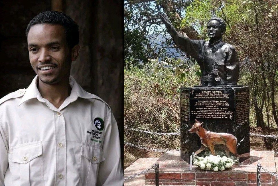 የባሌ ተራሮች ብሔራዊ ፓርክ እሳት ቃጠሎን ለማጥፋት ጥረት ሲያደርግ ህይወቱ ያለፈው ቢንያም አድማሱ የሕይወት ዘመን እውቅና ተሰጠው