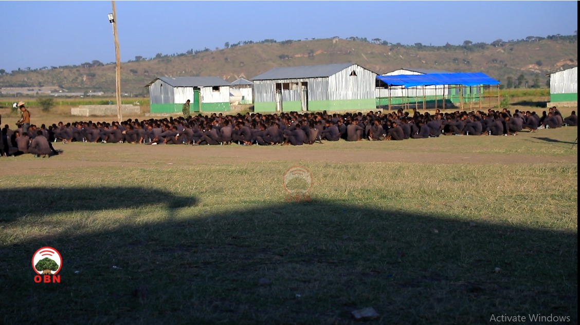 በሺዎች የሚቆጠሩ የአሽባሪው ሸኔ ታጣቂዎች ለመንግስት እጅ እየሰጡ መሆኑ ተገለጸ