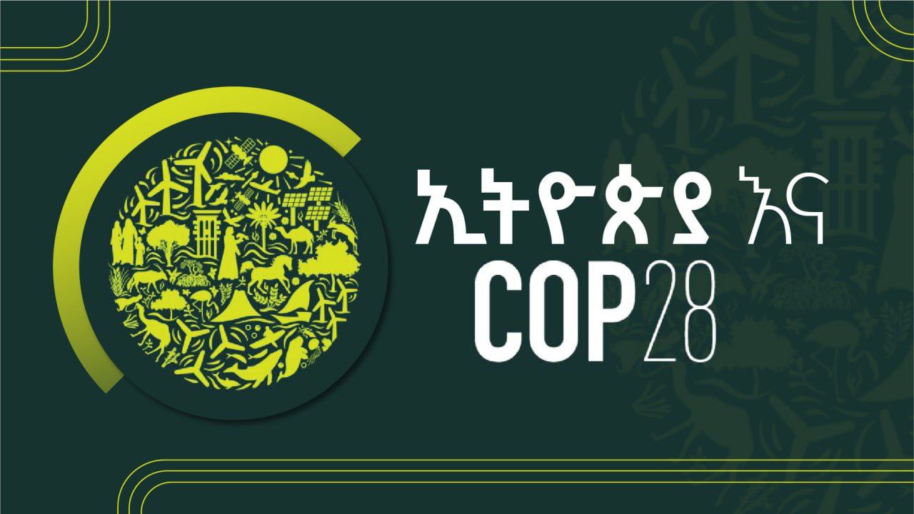 ኢትዮጵያ ያላት መልክዓ ምድራዊ አቀማመጥ እና የመልማት ዕድል ለኢንቨስትመንት ተመራጭ ያደርጋታል:- በተባበሩት ኤምሬትስ ያሉ ባለሀብቶች