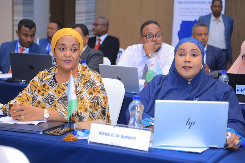 Forum on Migration Dwelling on Creating Safe Labor Migration Pathway for Young Africans