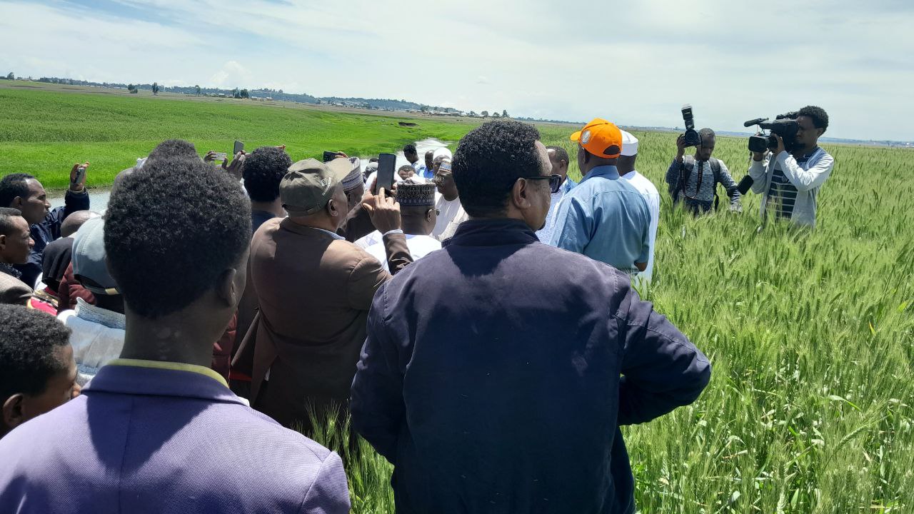 Nigeria Commends Wheat Production in Ethiopia