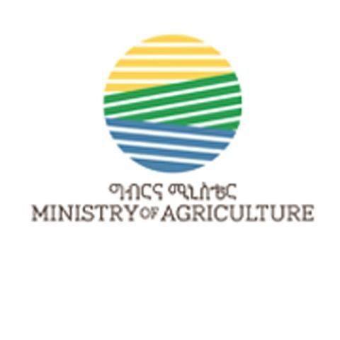 ባለፉት ዘጠኝ ወራት ለውጭ ገበያ ከቀረበ 800 ቶን የጥጥ ምርት 2 ነጥብ 2 ሚሊዮን ዶላር ተገኝቷል - የግብርና ሚኒስቴር