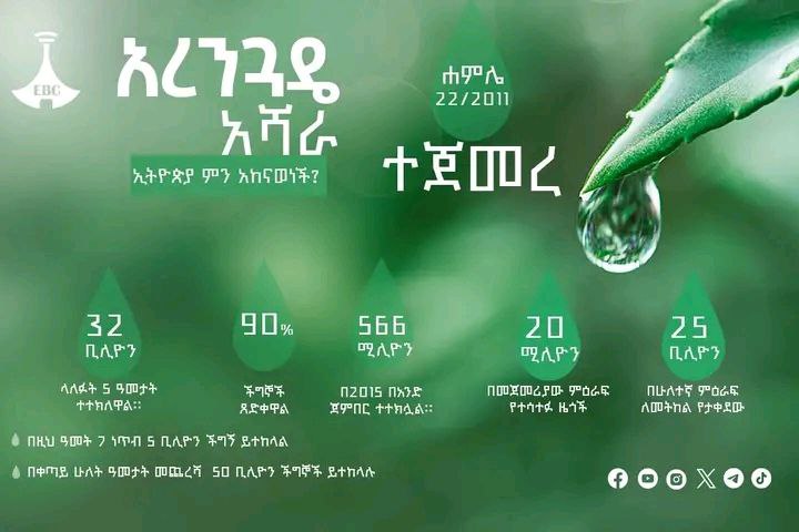 Ethiopia's Green Legacy Initiative: A Transformative Effort in Environmental Conservation