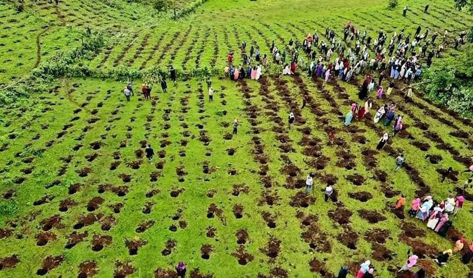 ኢትዮጵያ ከአረንጓዴ አሻራ መርሐ- ግብር ምን አገኘች?