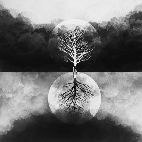 The Paradox of Human Nature