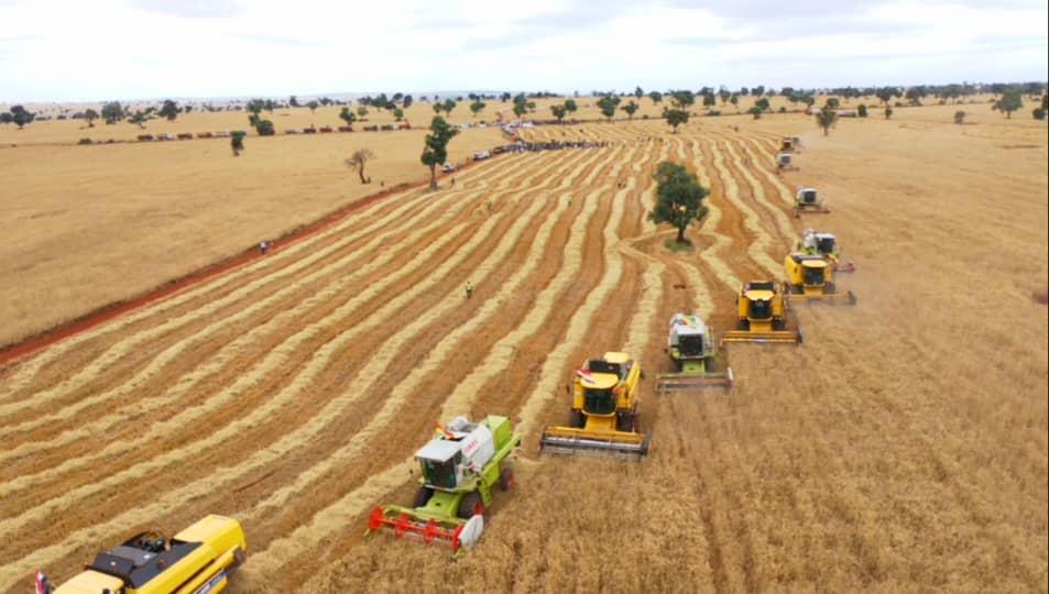 PM Abiy: We Can Change Our Country and Ensure Food Sovereignty