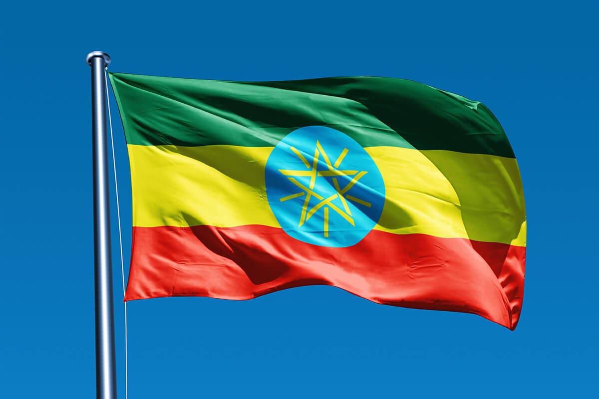 የሰንደቅ ዓላማ ቀን የፊታችን ሰኞ ይከበራል - የሕዝብ ተወካዮች ምክር ቤት