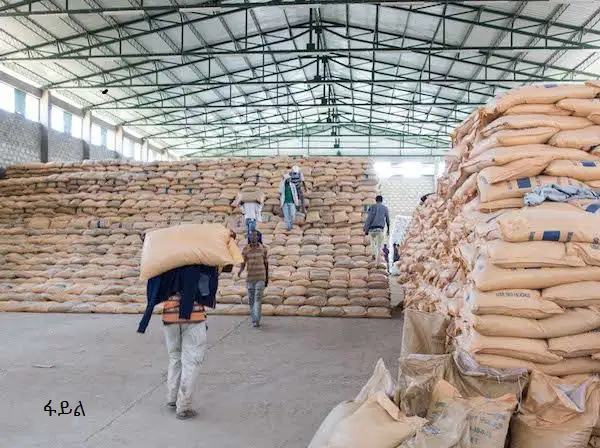 ለግብርናው ዘርፍ ትልቅ አቅም እንደሚፈጥር የታመነበት ግዙፉ የኢትዮጵያ የአፈር ማዳበሪያ ፋብሪካ ፕሮጀክት