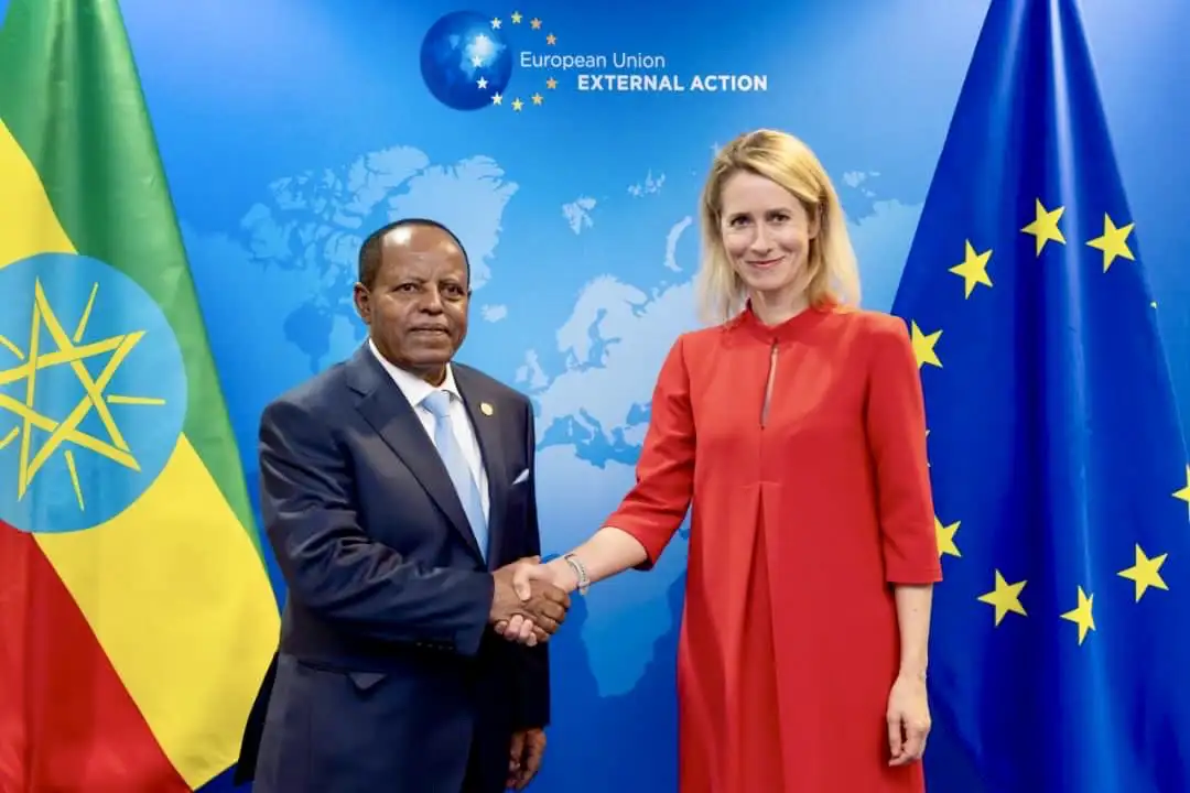 Ethiopia, EU Vow to Scale Up Cooperation, Regional Peace