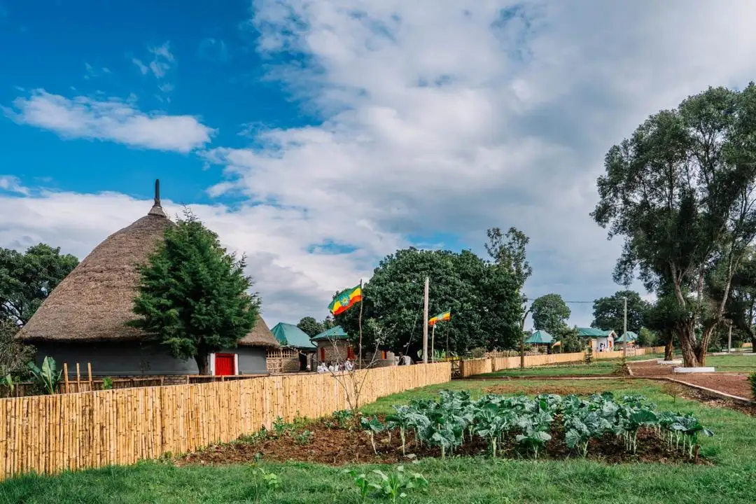 የገጠር ኮሪደር ልማት ከግብዓት እስከ ገበታ ያለውን ሰንሰለት ምቹ የሚያደርግ ነው