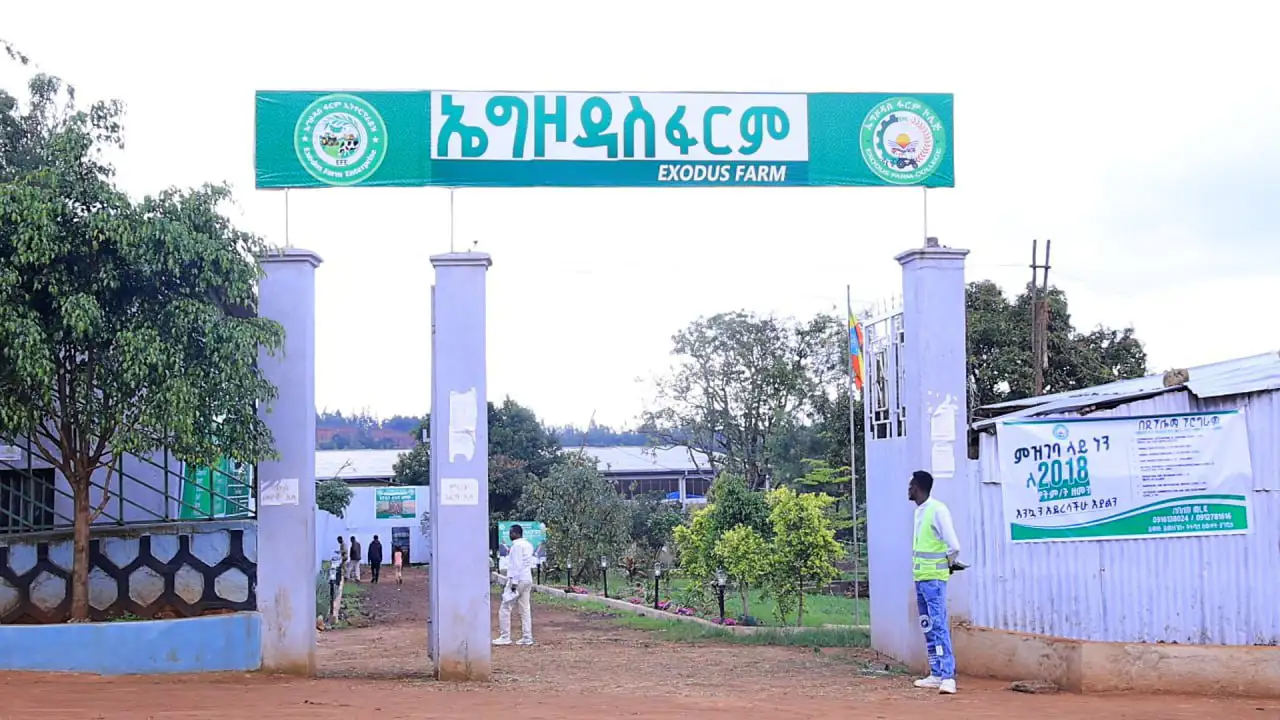 የዩኒቨርሲቲ ተማሪ እያሉ የጀመሩትን የ20 ብር ቁጠባ ወደ 60 ሚሊዮን ብር ያሳደጉት ወጣቶች