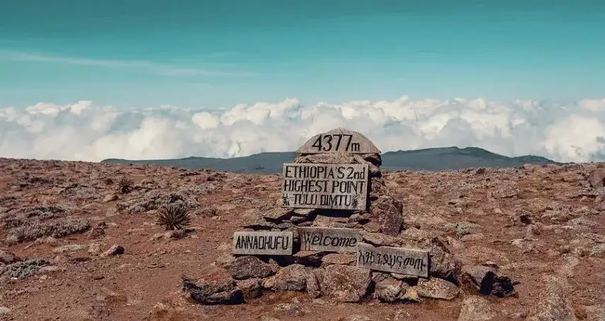 The Landscapes of Mount Tullu Dimtu