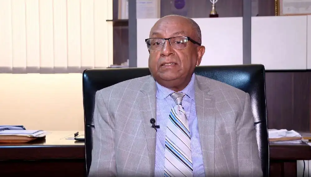 ኢትዮጵያ ለቀጣናዊ ትስስር ላቅ ያለ አስተዋጽኦ እያበረከተች ነው - ፕሮፌሰር ብሩክ ኃይሉ