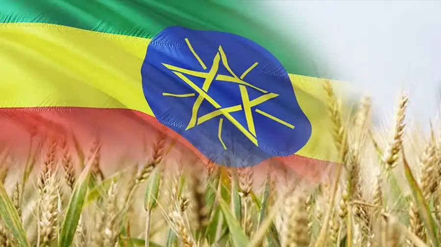 ኢትዮጵያ ሀብቷን ከአርሶ አደሩ ጠንካራ ሥራ ጋር ደምራ የምግብ ሉዓላዊነቷን ለማረጋገጥ እየሰራች ነው
