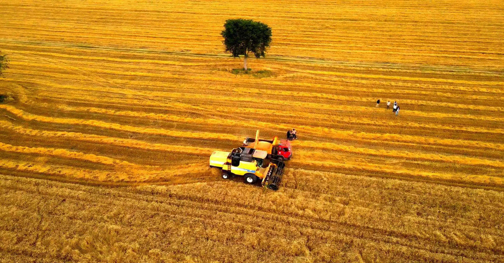 ከአሜሪካ ኖርዝ ዳኮታ ስቴት ዩኒቨርሲቲ ወደ ስልጤ ዞን ማሳዎች