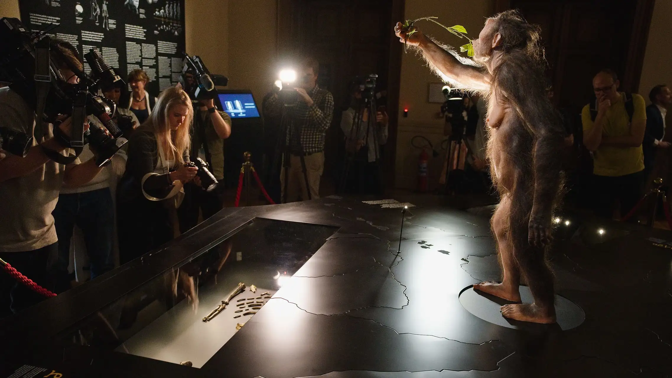 The Importance of Sleep: Tips for Better Rest and Recovery