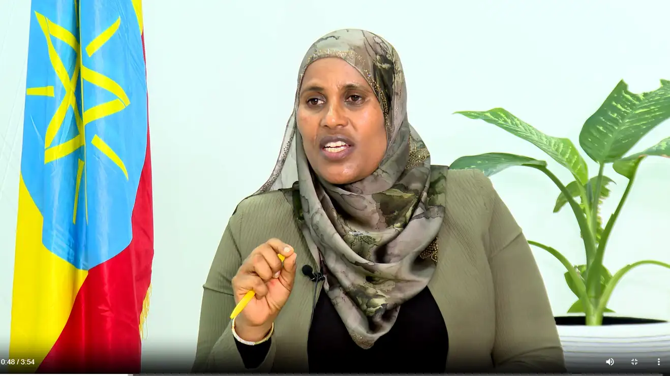 የኢትዮጵያ ከተሞች በአዲስ የዕድገት ምዕራፍ ላይ ይገኛሉ፦ ወ/ሮ ጫልቱ ሳኒ