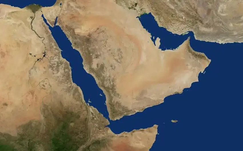 The Importance of Sleep: Tips for Better Rest and Recovery