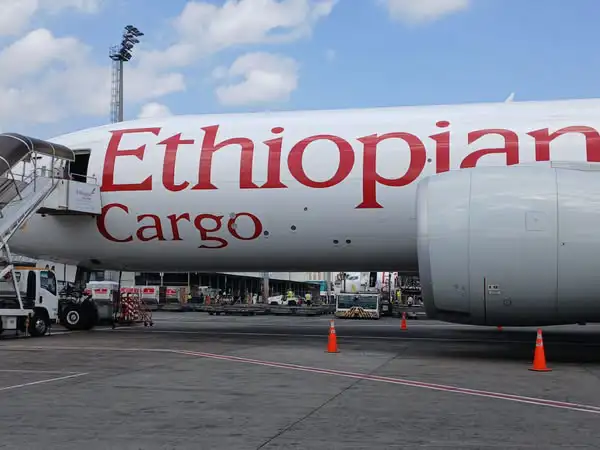 Itoophiyaan omisha ishee jalqabaa gara gabaa Naannoo Daldala Walaba Afrikaatti erguu eegalte