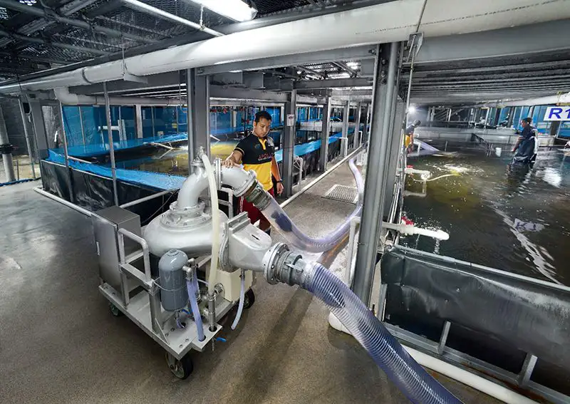 The Importance of Sleep: Tips for Better Rest and Recovery