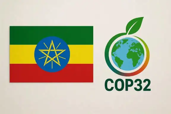 The Importance of Sleep: Tips for Better Rest and Recovery