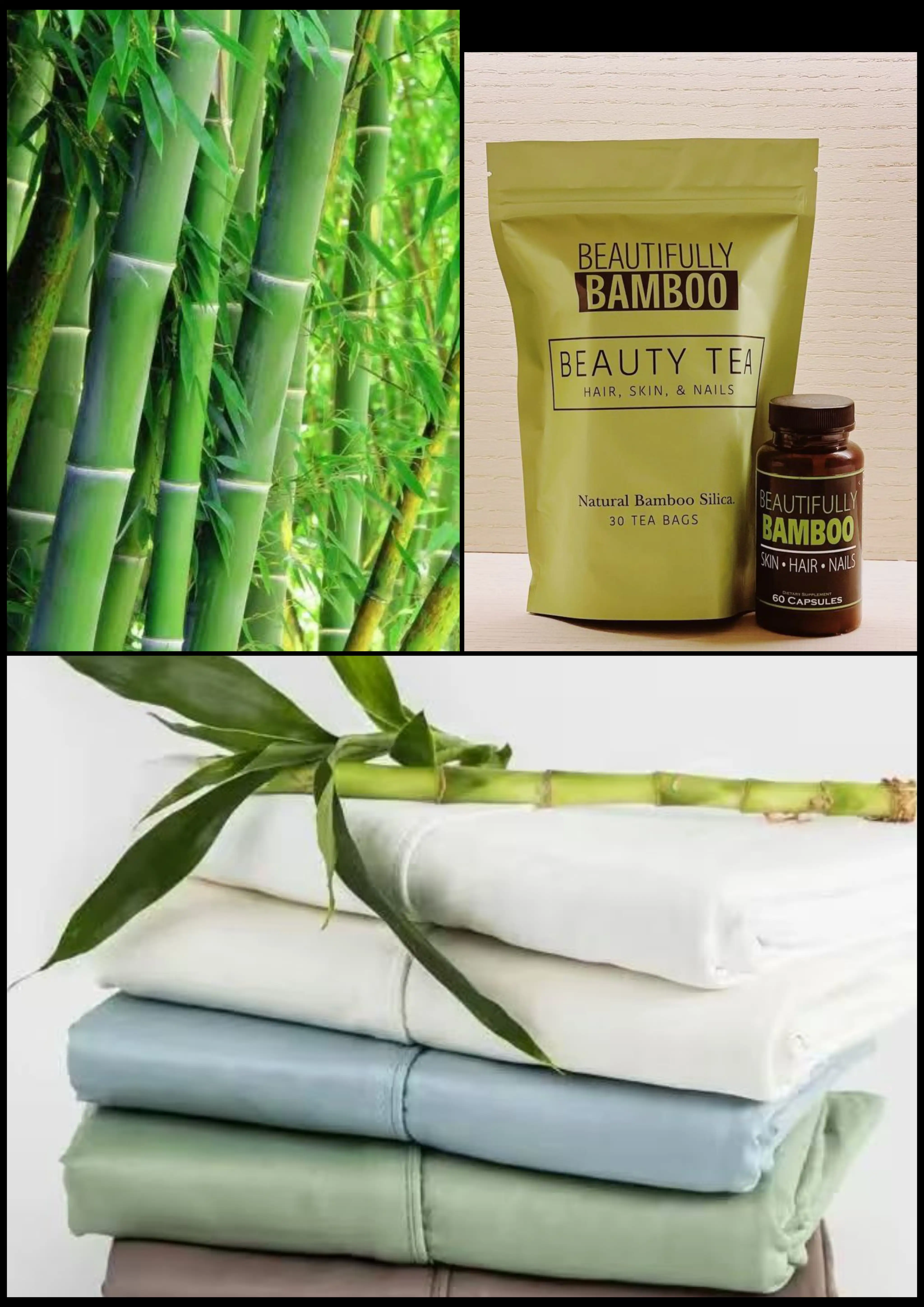 Bamboo: Ethiopia's New $5 Billion Export Powerhouse