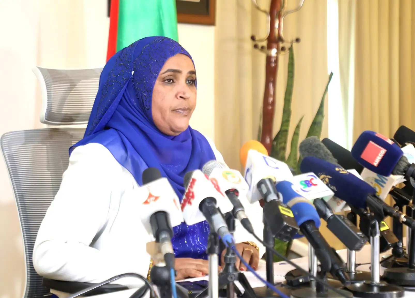 ማዕከላዊ ኢትዮጵያ ክልልን የቱሪዝምና የኢንዱስትሪ ማዕከል ለማድረግ እየተሰራ ነው - የክልሉ ዋና አፈ-ጉባኤ ፋጤ ስርሞሎ