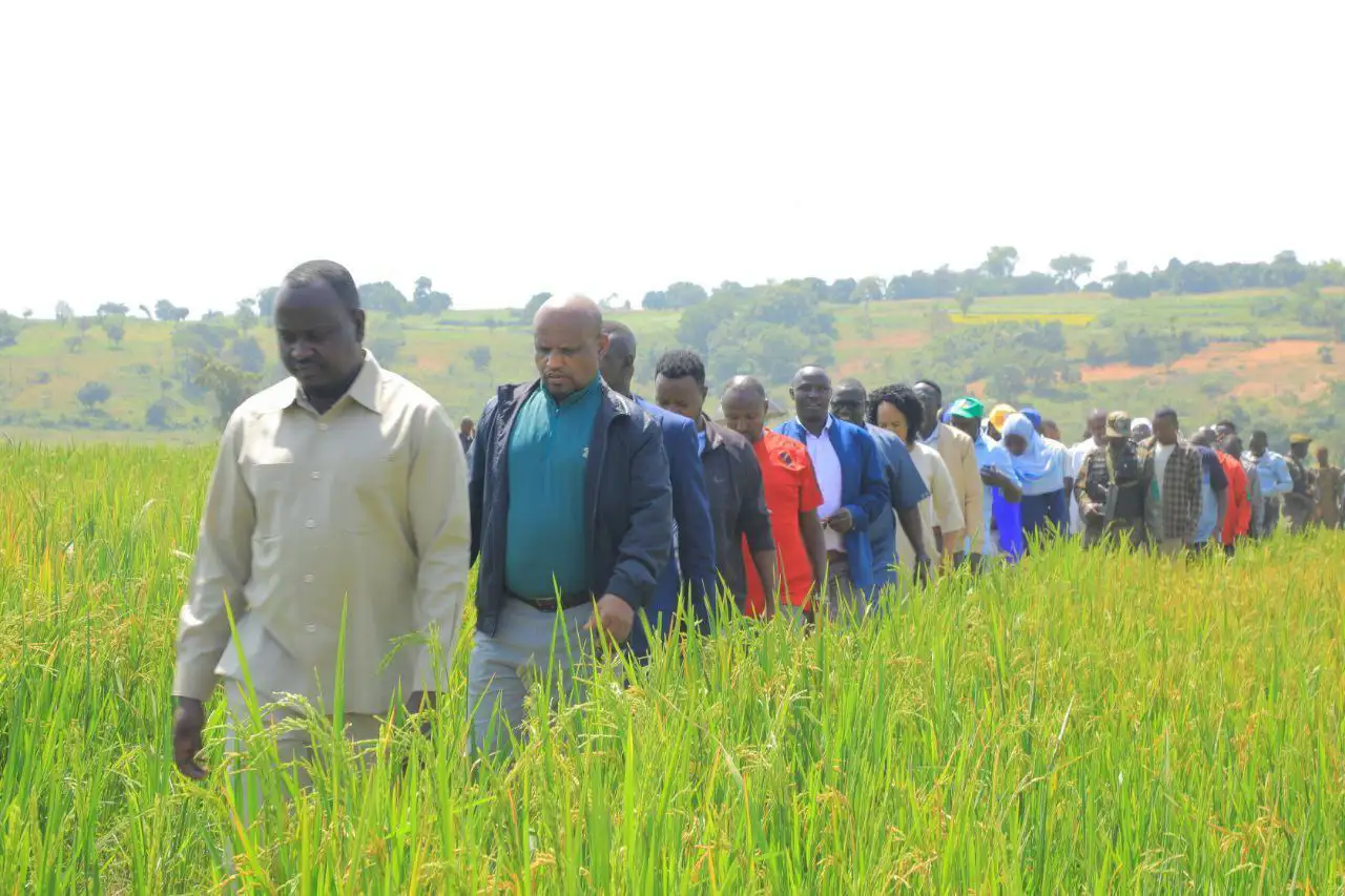 በቤንሻንጉል ጉሙዝ የግብርና ምርት እና ምርታማነትን ለማሳደግ ሰፋፊ ሥራዎች እየተከናወኑ ነው - አቶ አሻድሊ ሀሰን