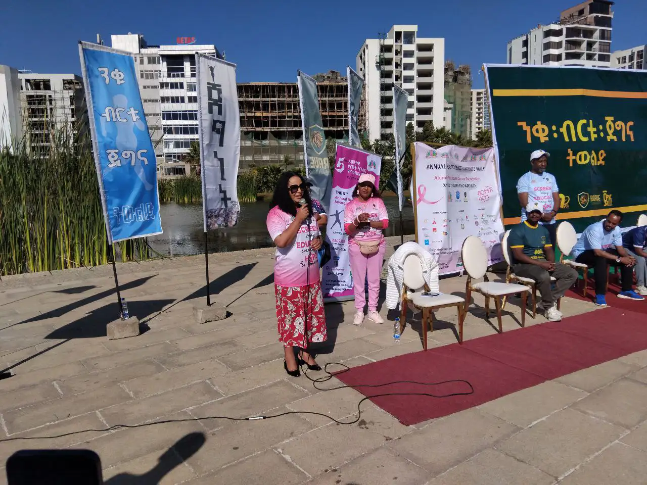 የጡት ካንሰር የሚያስከትለውን ጉዳት ለመከላከል ቅንጅታዊ አሠራር እንዲጠናከር ተጠየቀ