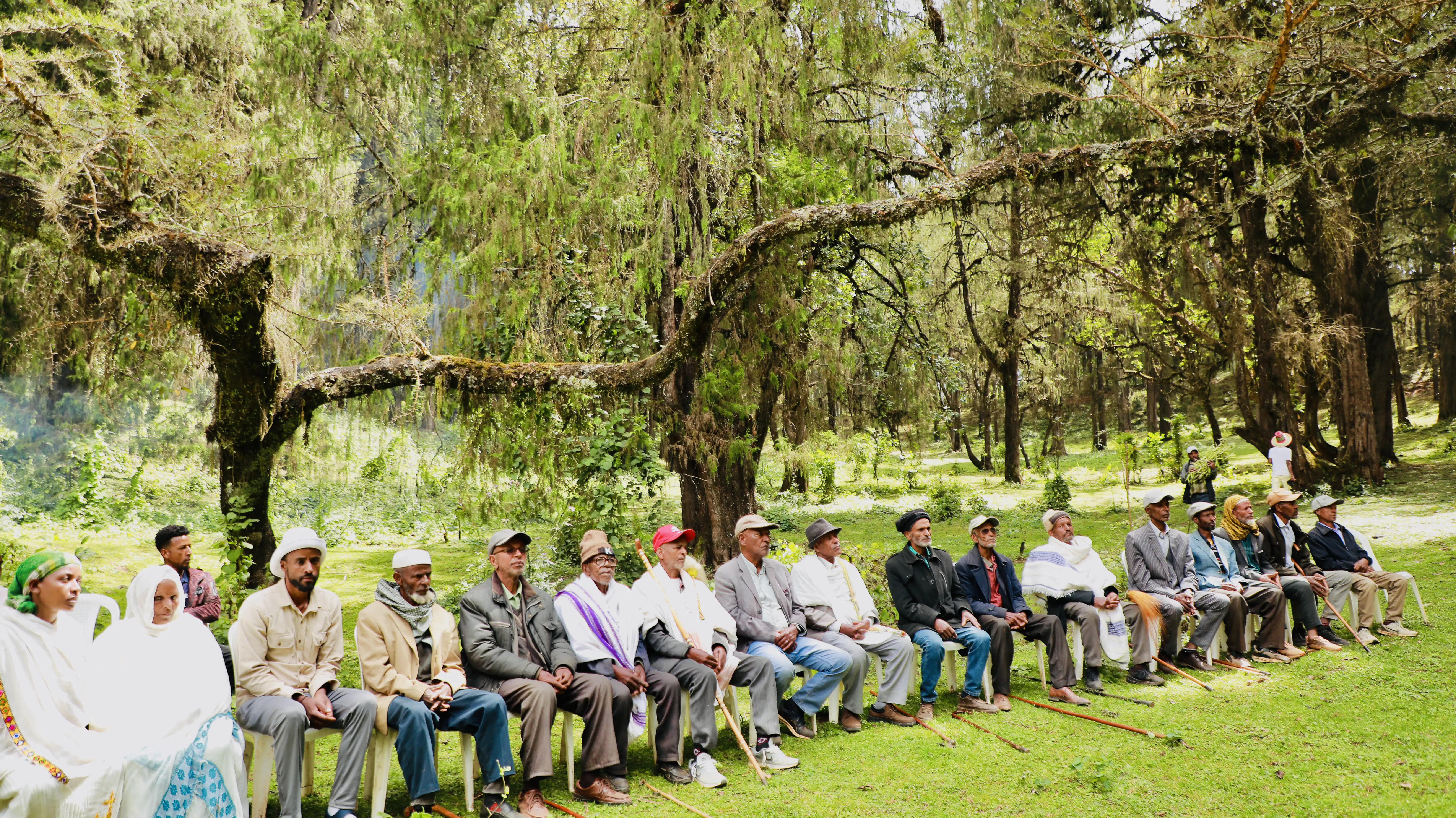 ለዓለም የአየር ንብረት ለውጥ ችግር የመፍትሔው አካል የሆነችው ኢትዮጵያ