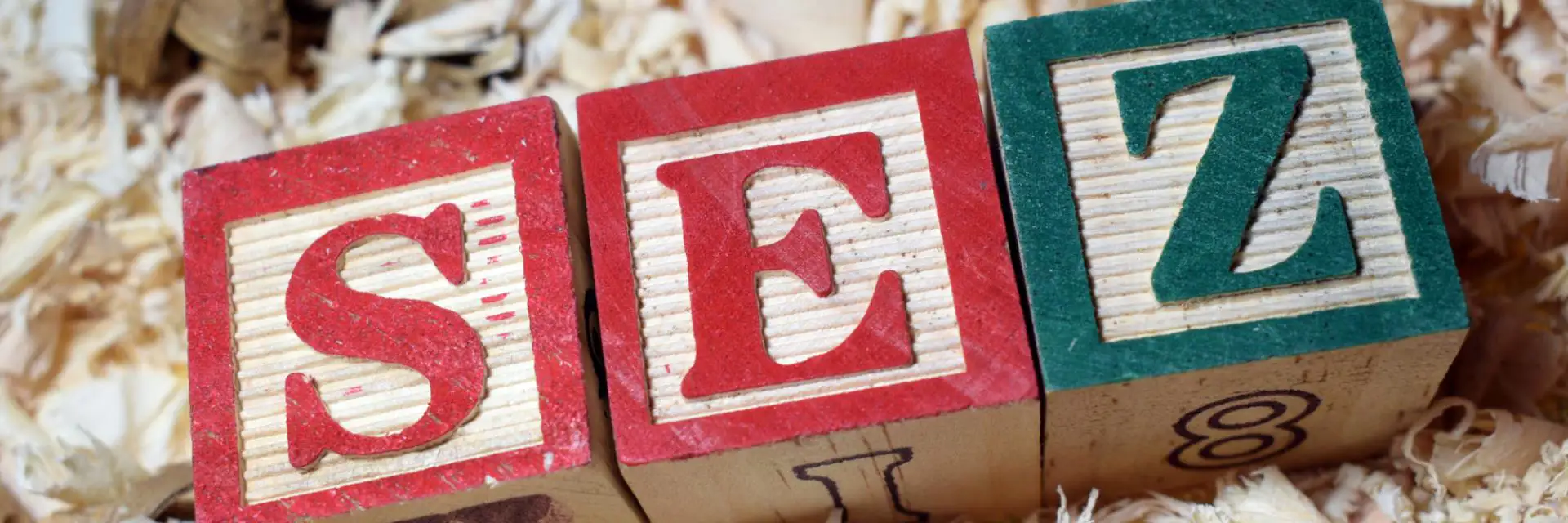 Ethiopia's Special Economic Zones( SEZ) Cited as Blueprint for African Industrial Development