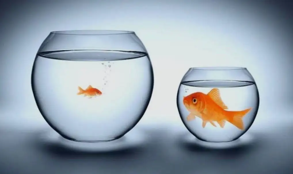 The Quiet Realization That We’ve Outgrown Something