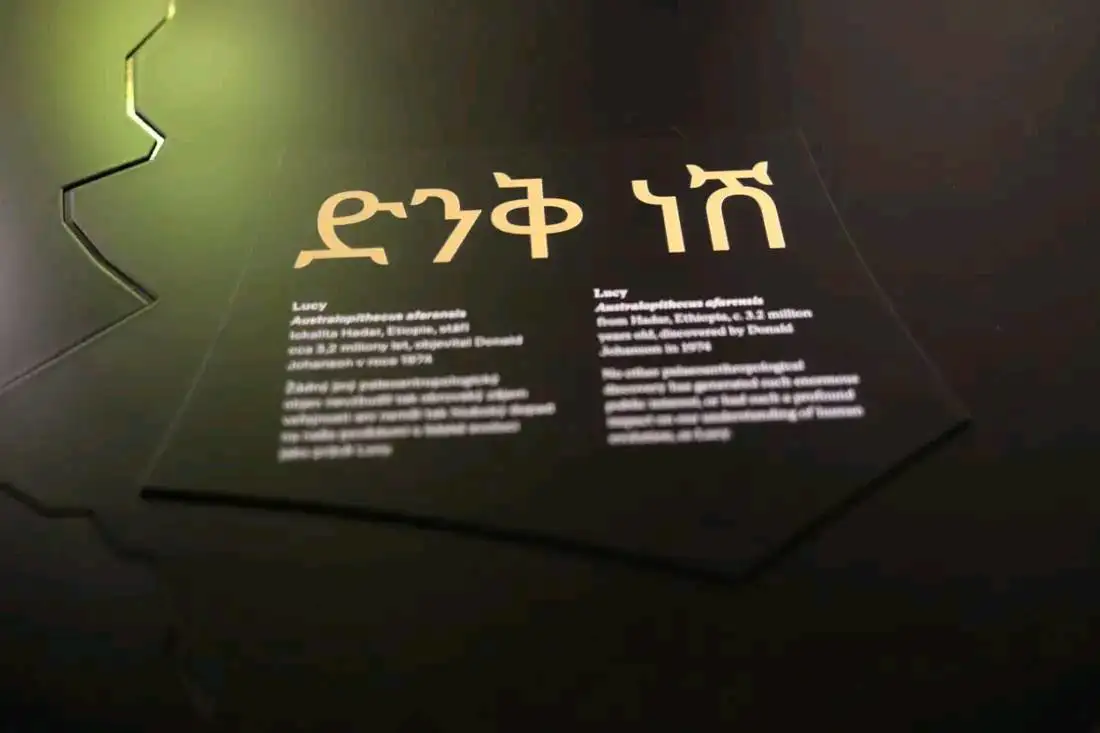 የኢትዮጵያን ምድረ ቀደምትነት ለዓለም ያበሰረው ግኝት 