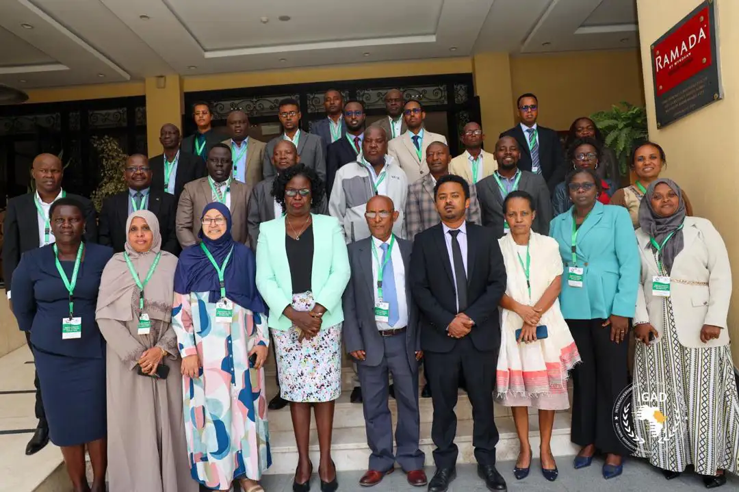 The Importance of Sleep: Tips for Better Rest and Recovery