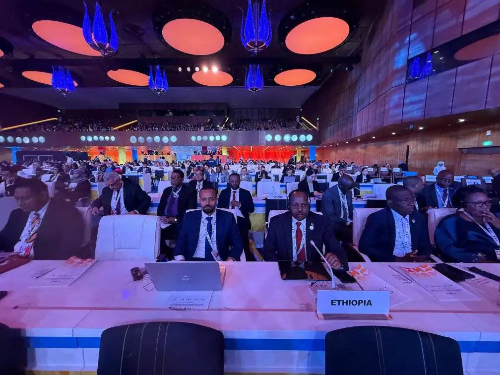 The Importance of Sleep: Tips for Better Rest and Recovery