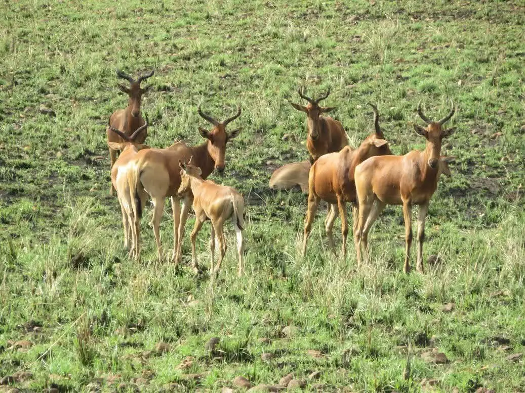 The Importance of Sleep: Tips for Better Rest and Recovery