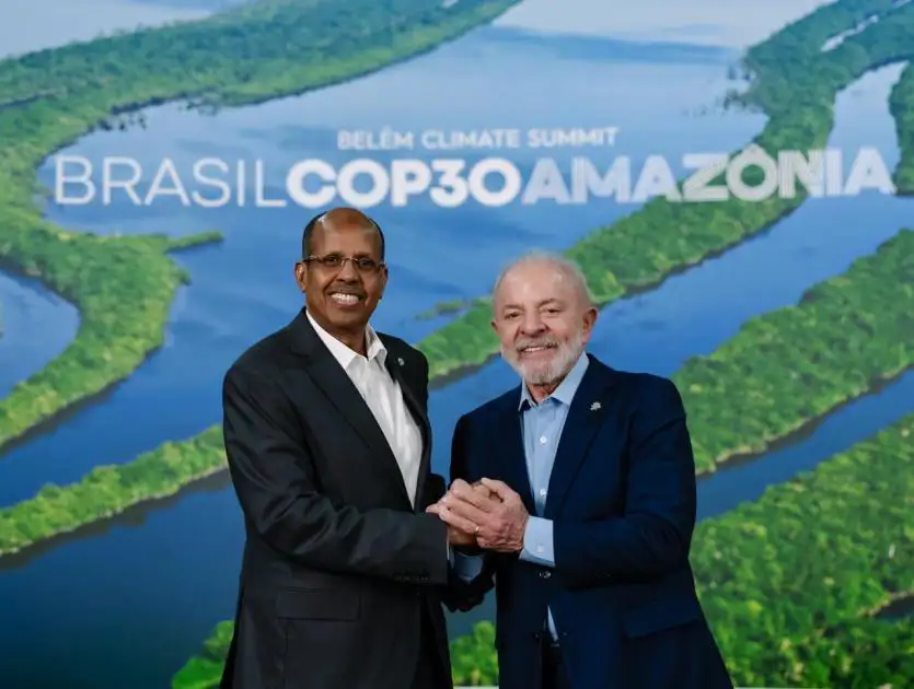 The Importance of Sleep: Tips for Better Rest and Recovery