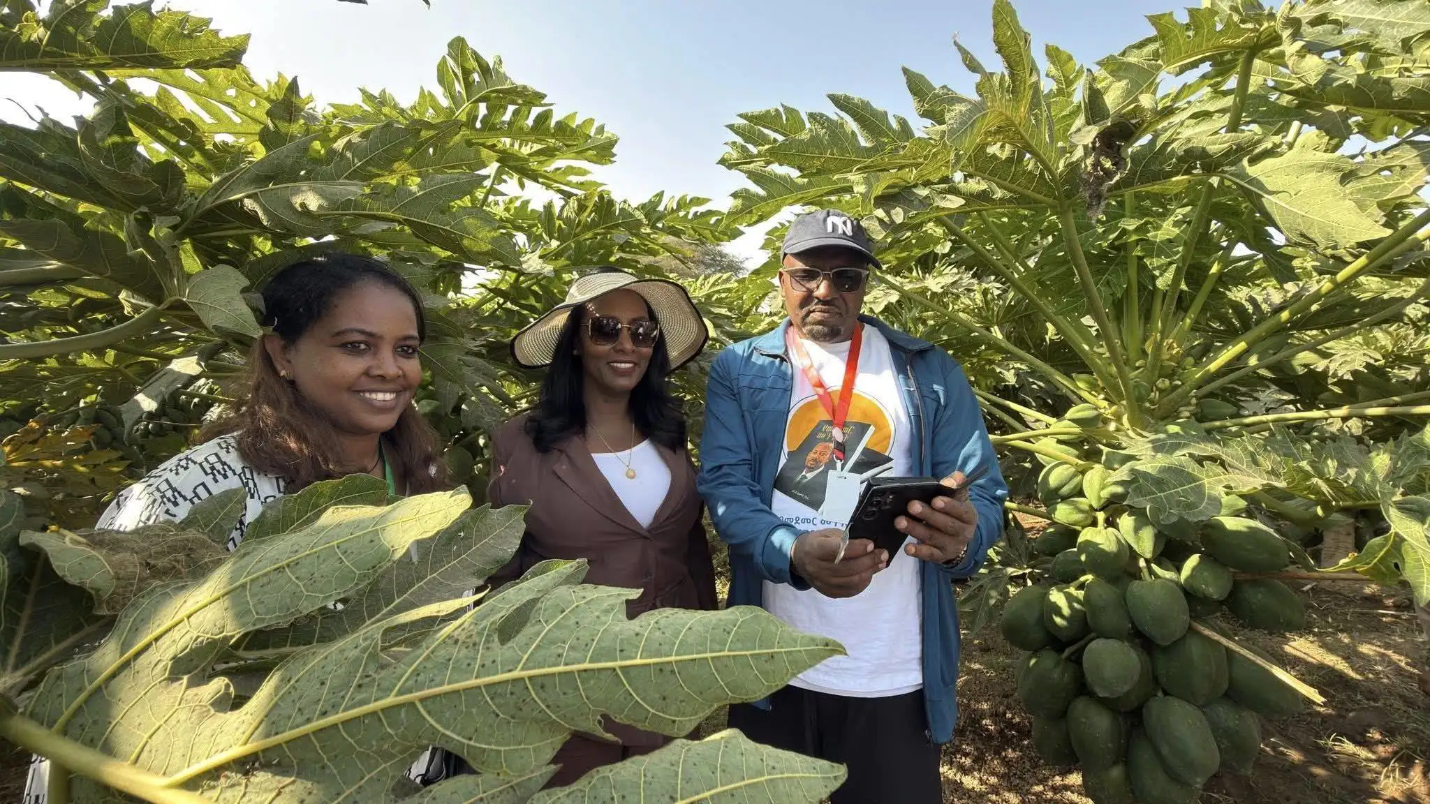 The Importance of Sleep: Tips for Better Rest and Recovery