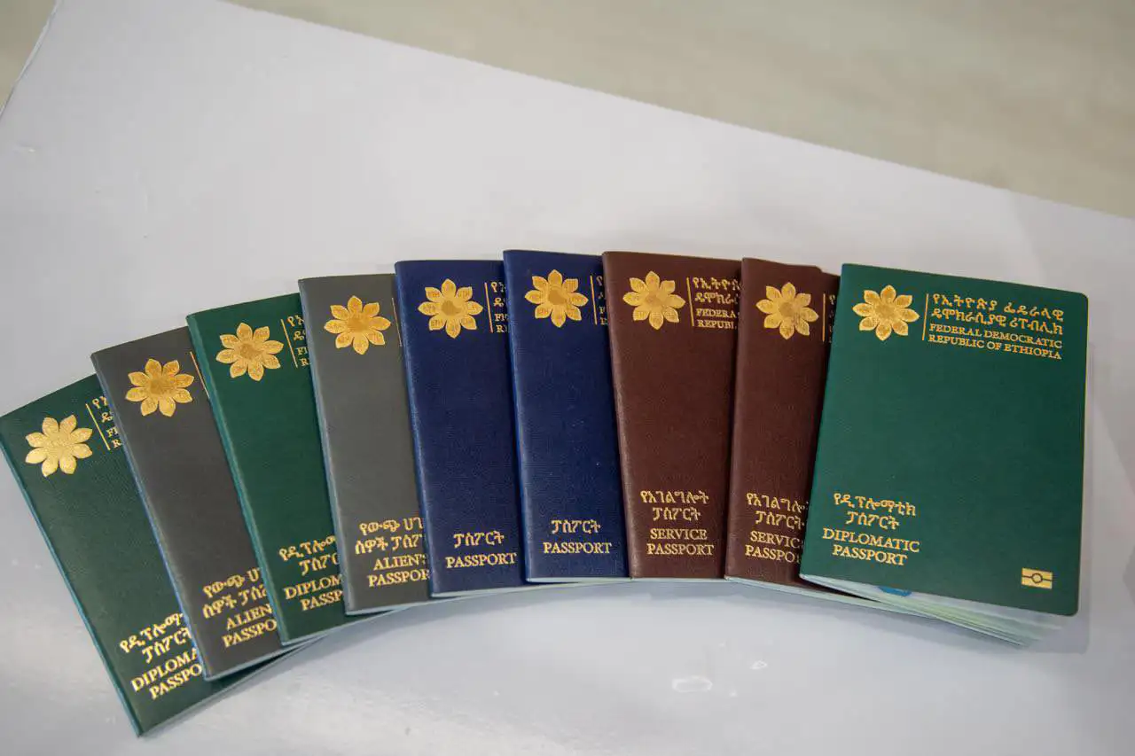 The Importance of Sleep: Tips for Better Rest and Recovery