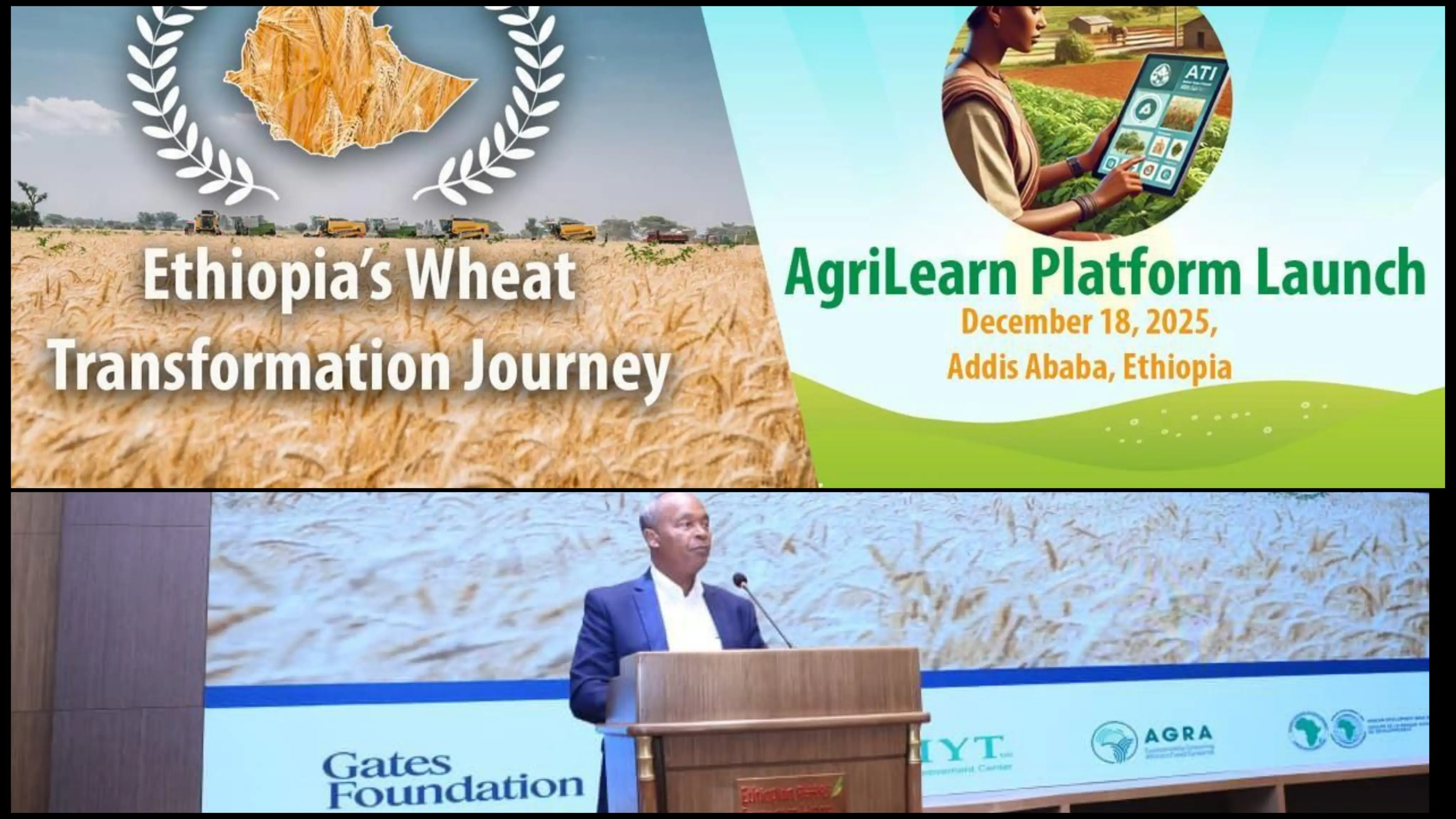 Ethiopia’s "Wheat Revolution" Captured in New Documentary Film