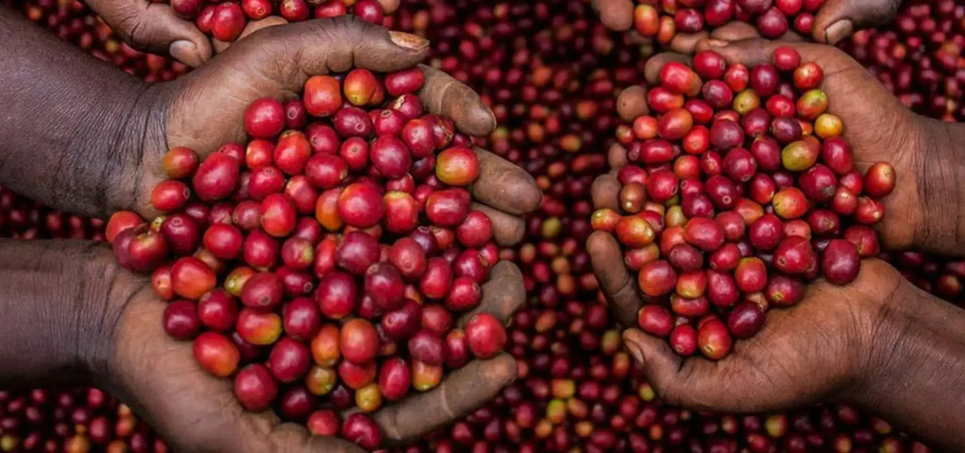 The Importance of Sleep: Tips for Better Rest and Recovery