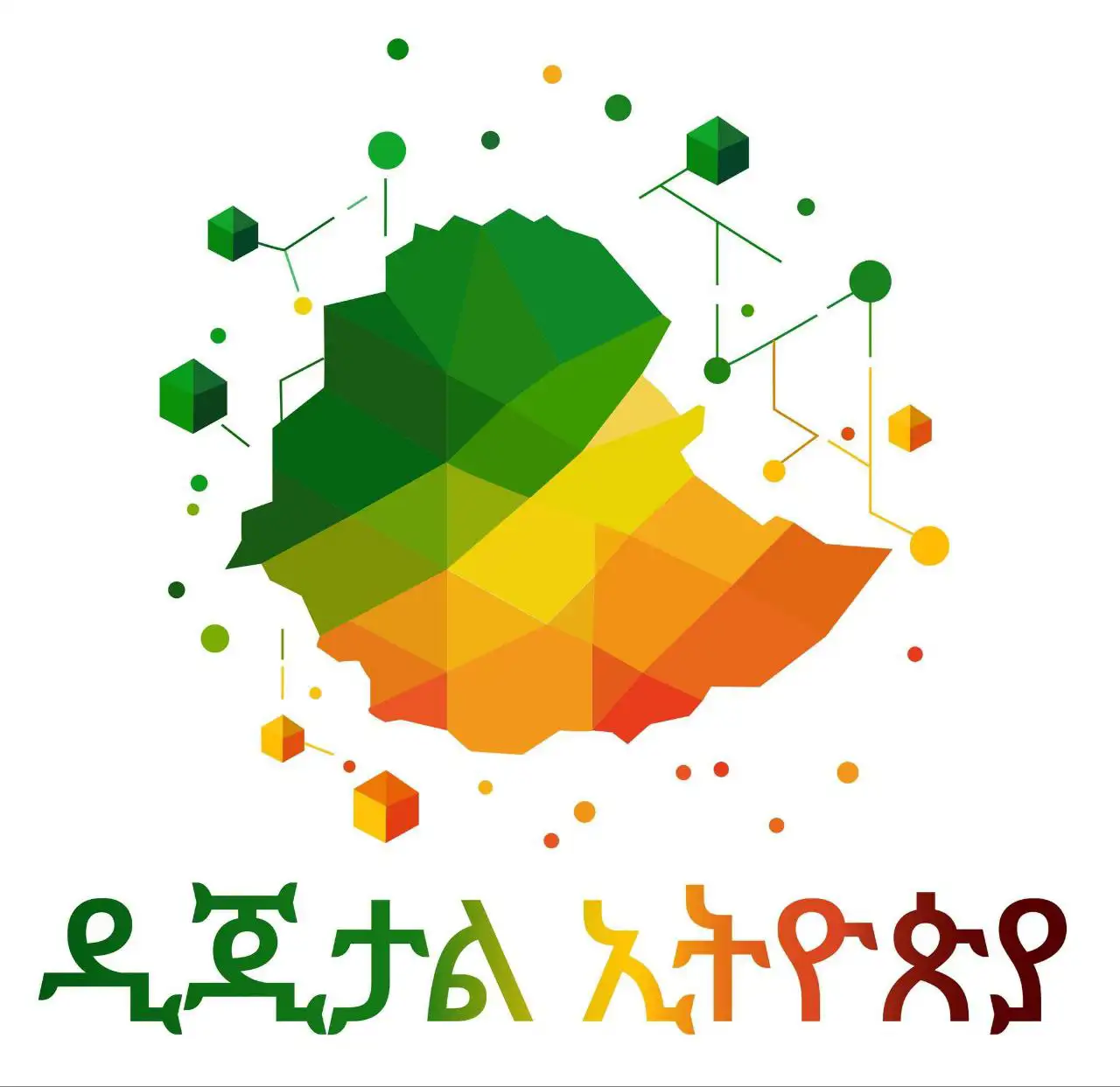 የተሻለ የዲጂታል አቅም የሚገነባበት ወሳኝ ፍኖተ ካርታ