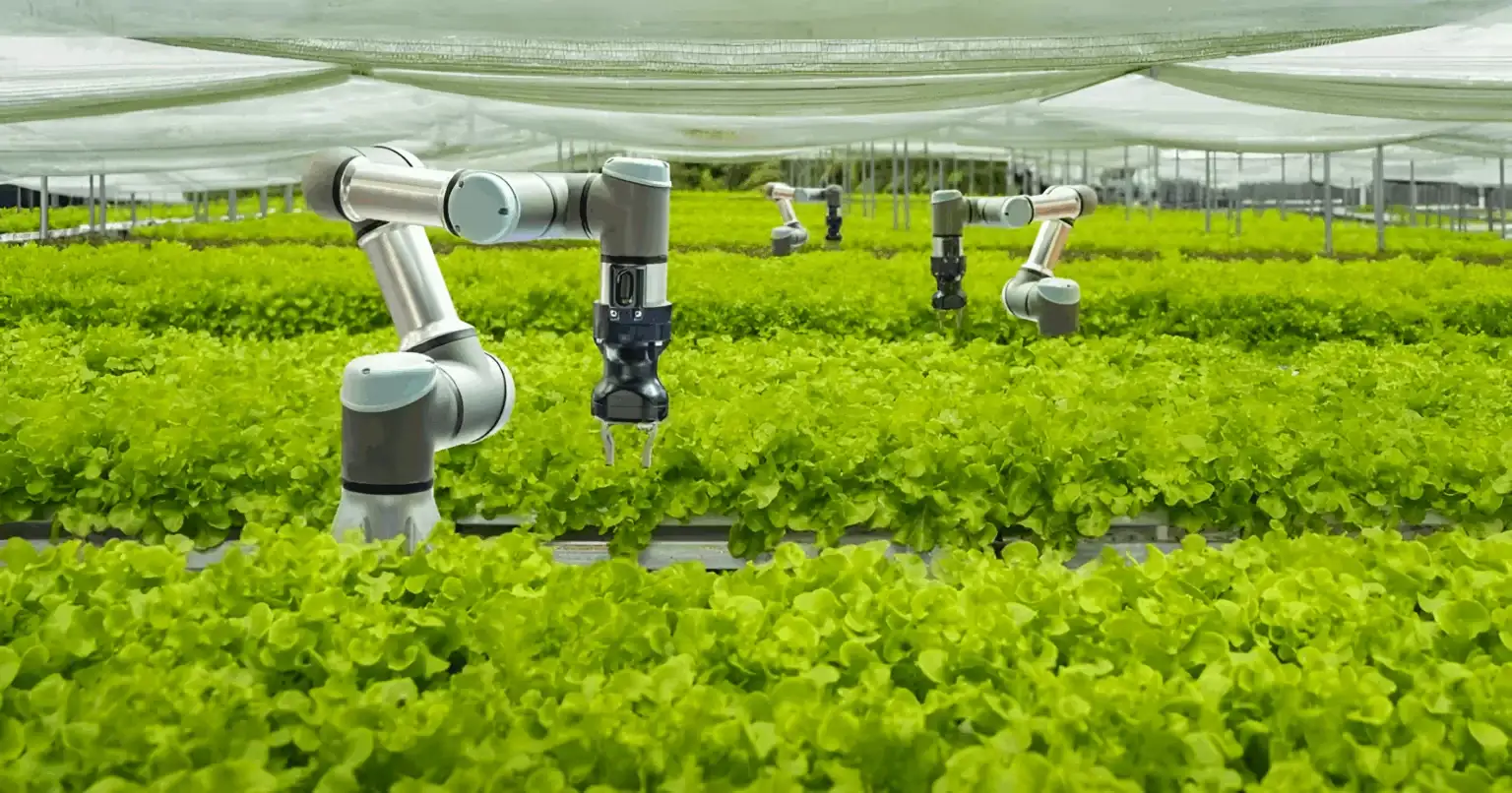 The Importance of Sleep: Tips for Better Rest and Recovery